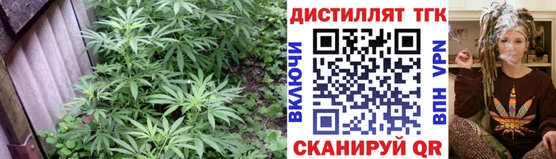 блэк спрут   где продают наркотики  Кореновск  ТГК вейп 